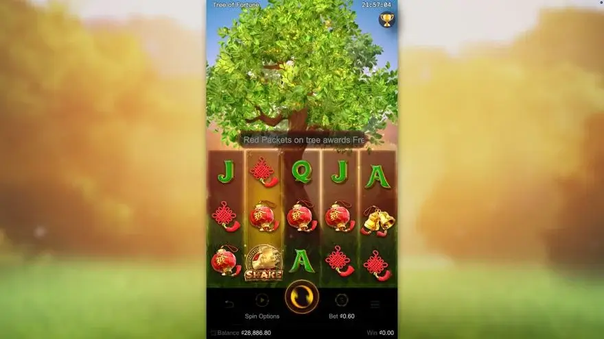 Ảnh bảng biểu tượng & tính năng game mẹo chơi tree of fortune lc79 (slot) chơi tại LC79